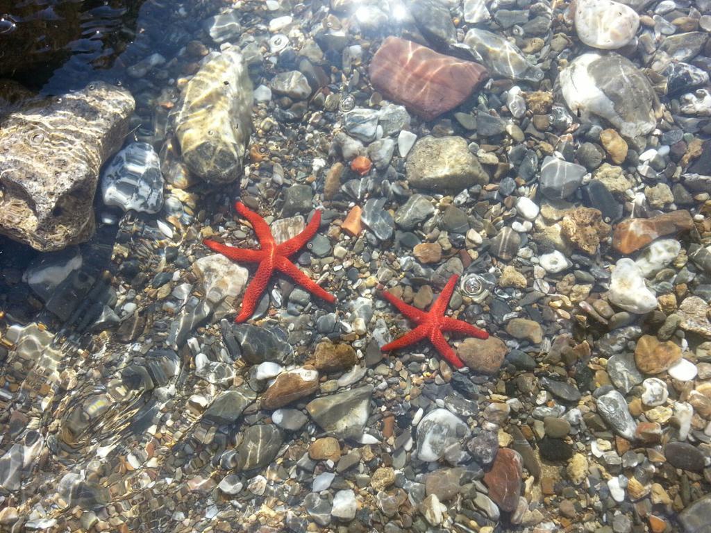 Aparthotel Cala Dei Mori Livorno Esterno foto